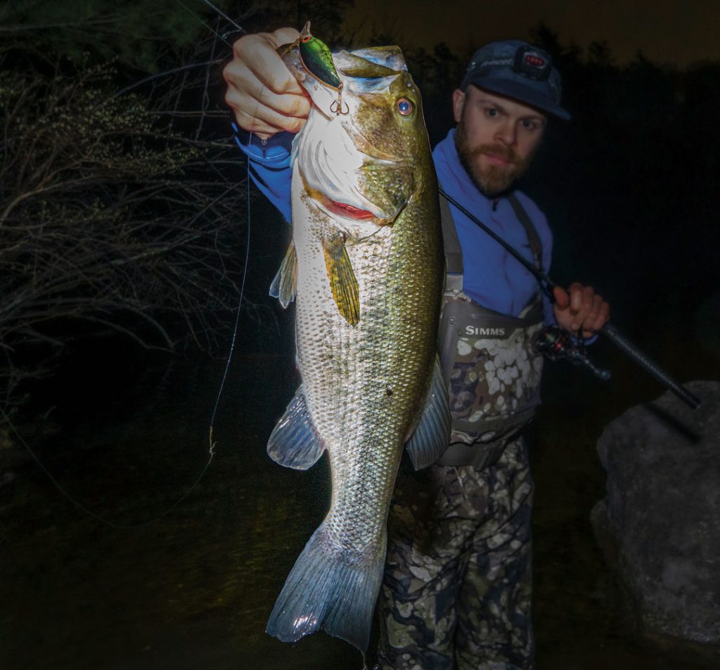 largemouth on wakebait