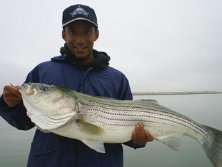 Anglers can find success with clams in the ocean, inlets and backwaters as bass will rarely pass up this easy meal.