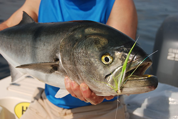 When fishing for blues with a fly rod, use a heavy monofilament or tie-able wire tippet.