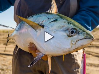 Fall Surfcasting on Nantucket