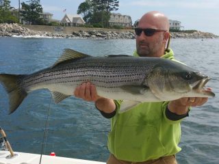 NH striped bass