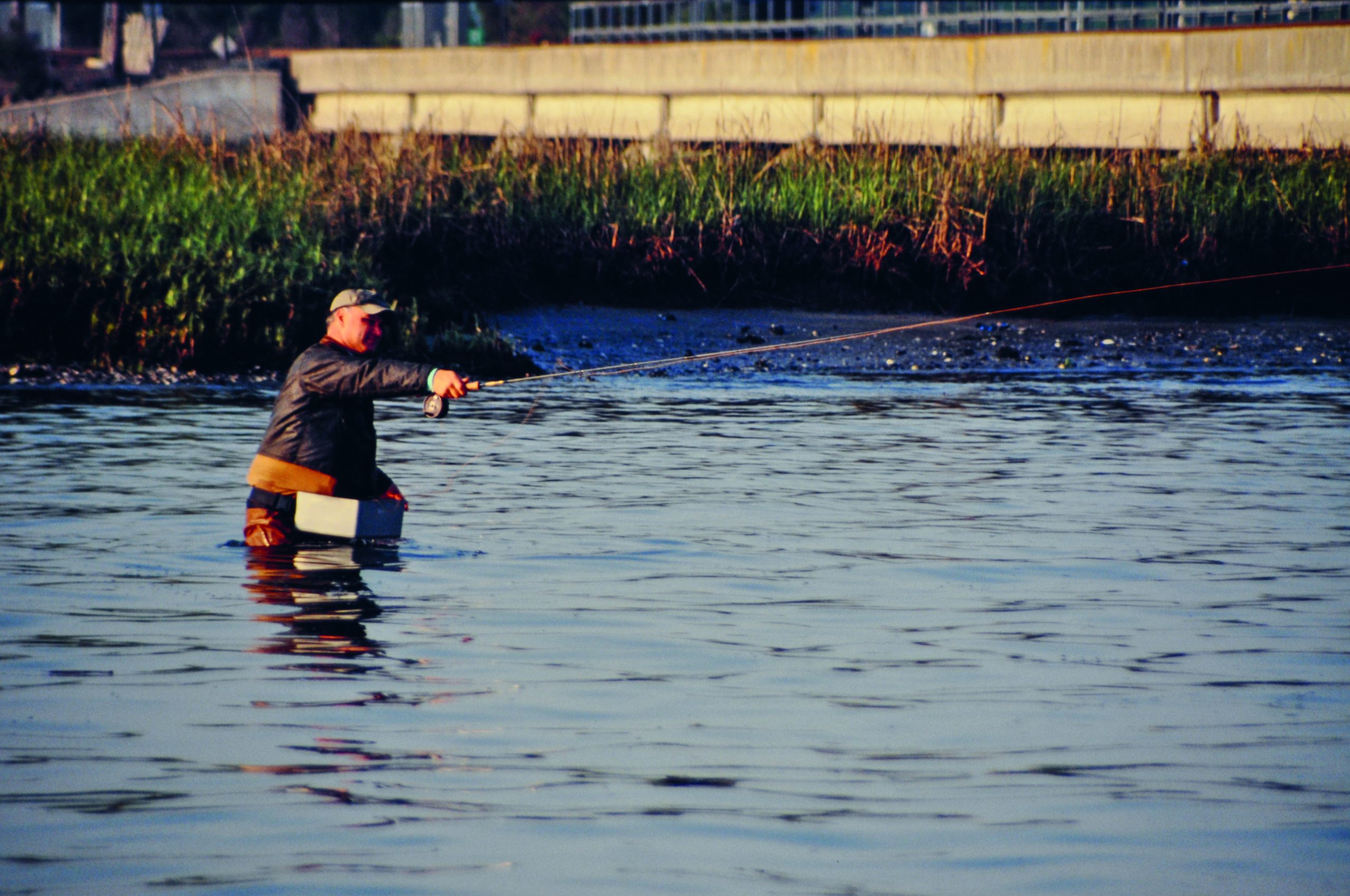 Fly Fishing Casting