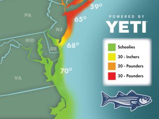 Striper Migration Map June 3, 2022