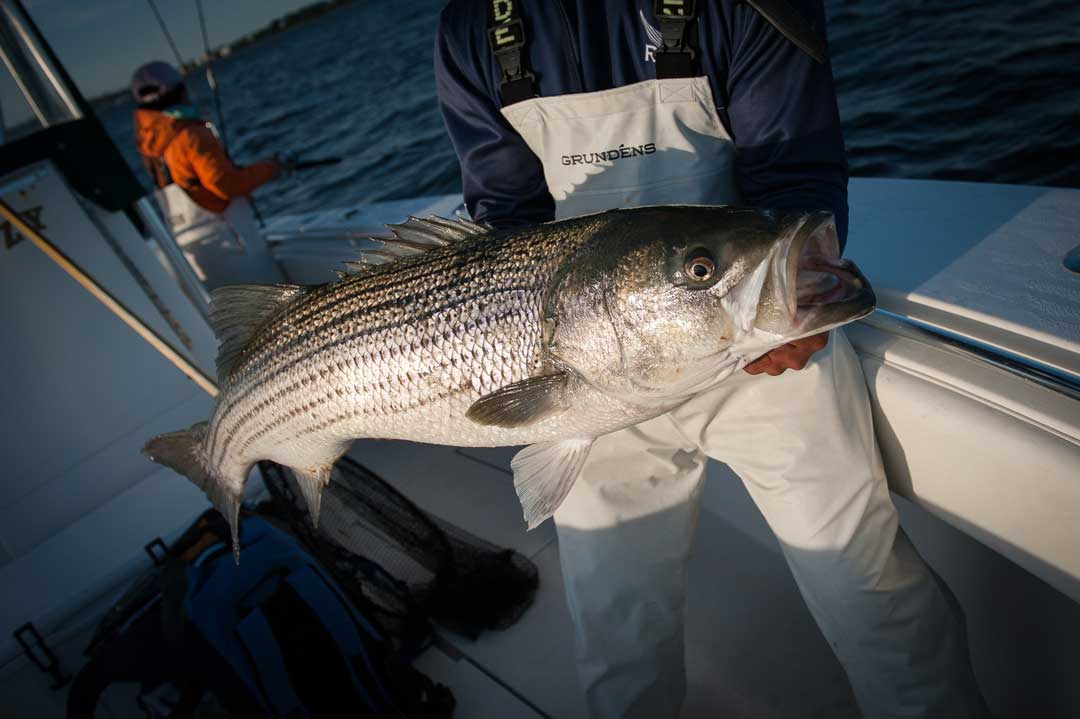 Gifts for the Striper Fisherman