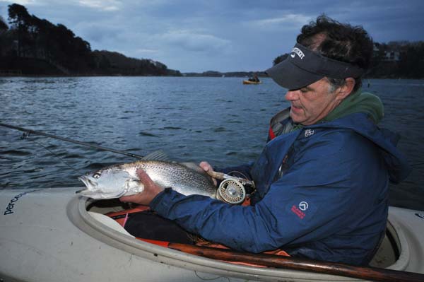 Weakfish are spooked by boat traffic