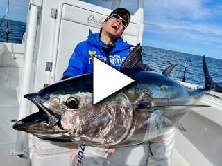 bluefin tuna