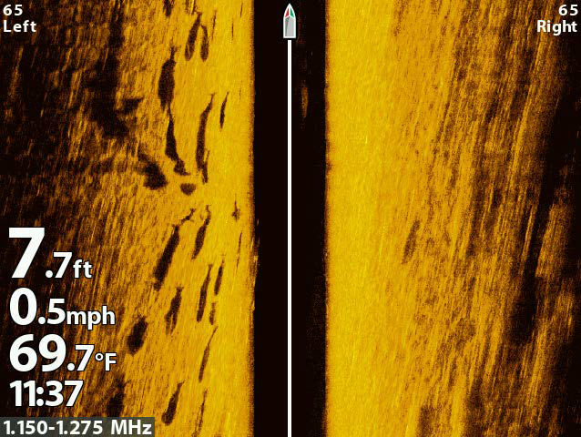 Side Scan Sonar